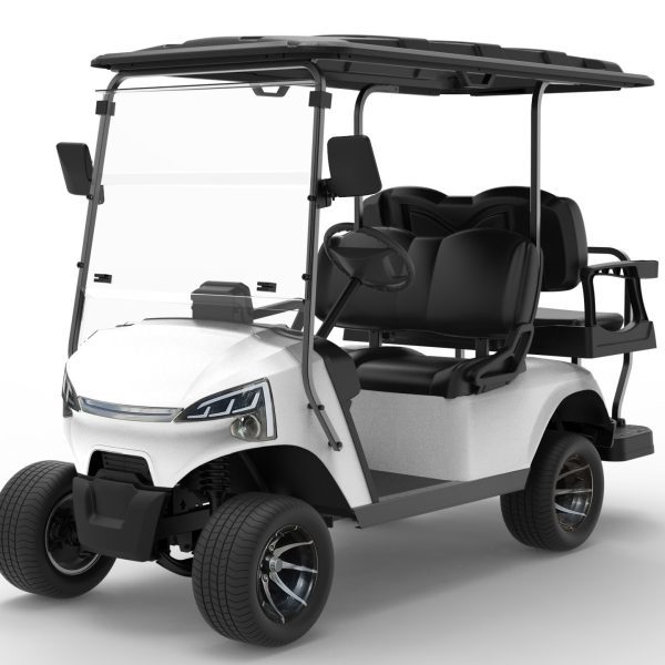 Golf cart 4 posti navetta turistica